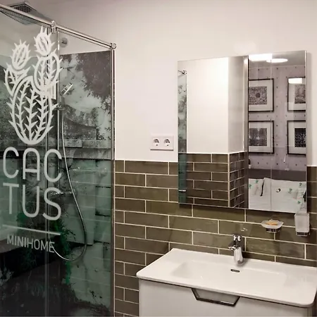 Lido Cactus